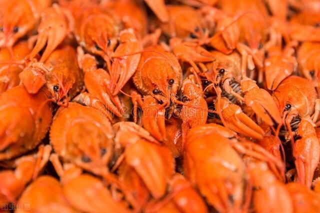 全国哪的小龙虾最好吃？